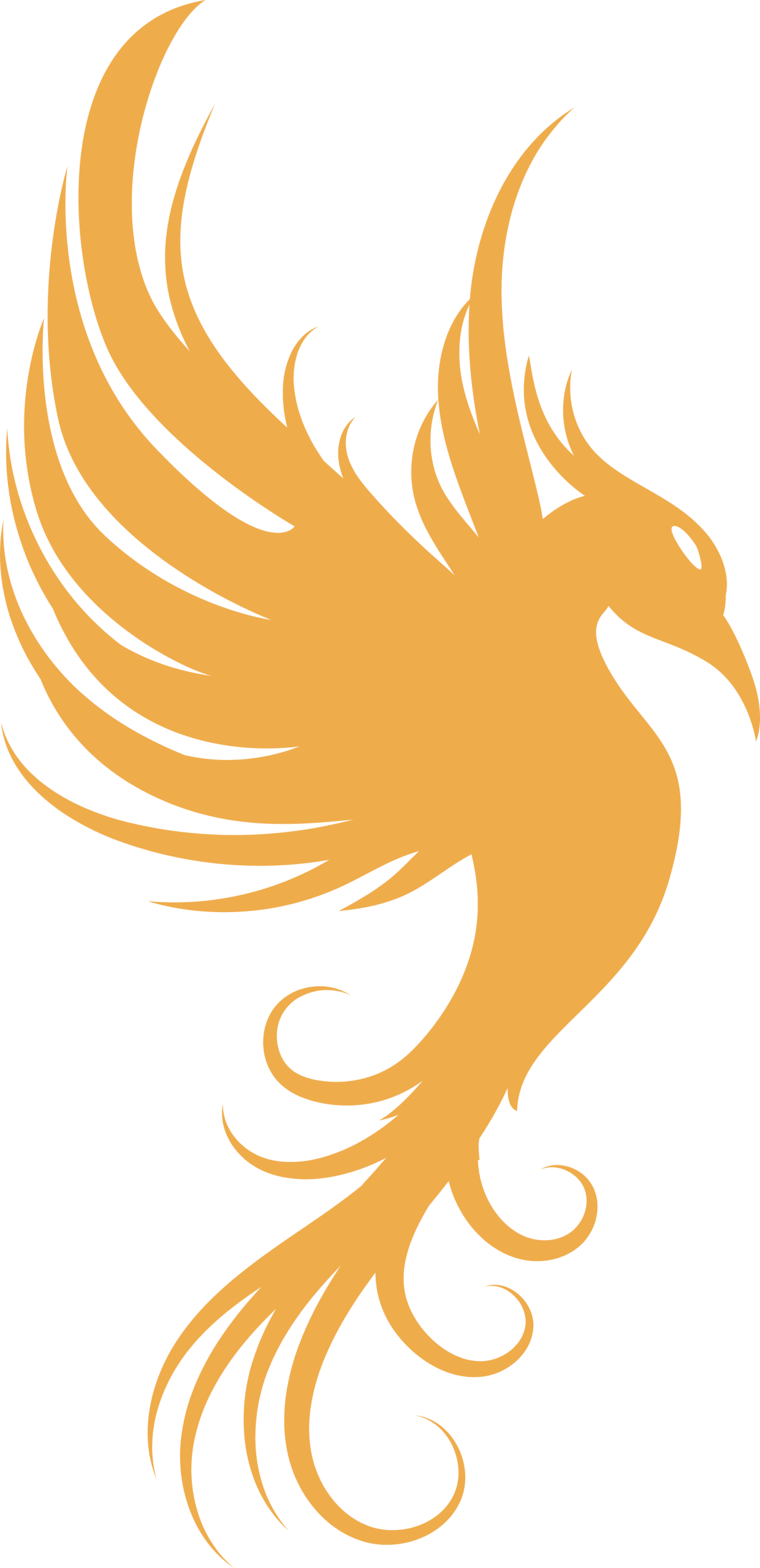 Phénix doré, symbole de renaissance